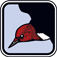 Peterson Birds Pocket Edition